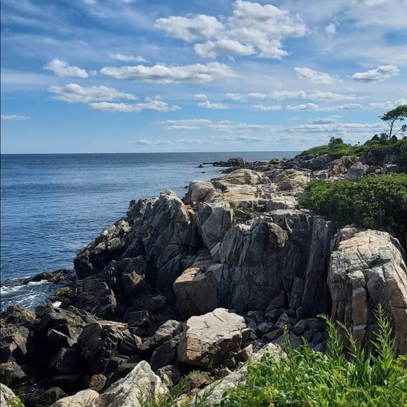 Meet your Posher, Whitney - Picture 1 of 1